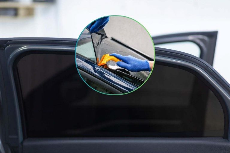 Protezione statica per finestrini auto, scimmia